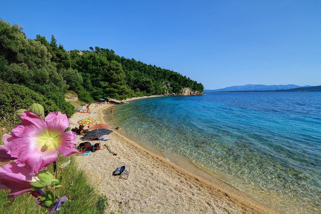 Camp Dole Zivogosce - Mobile Home And Glamping Tent Bagian luar foto